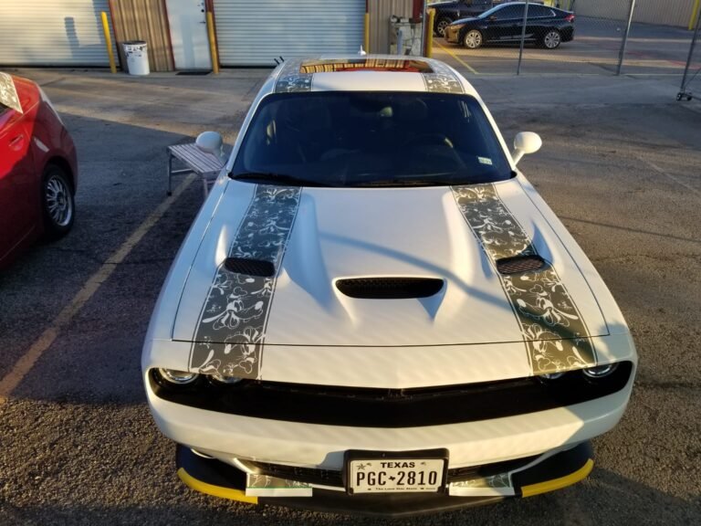 Goofy stripes on Charger (7)
